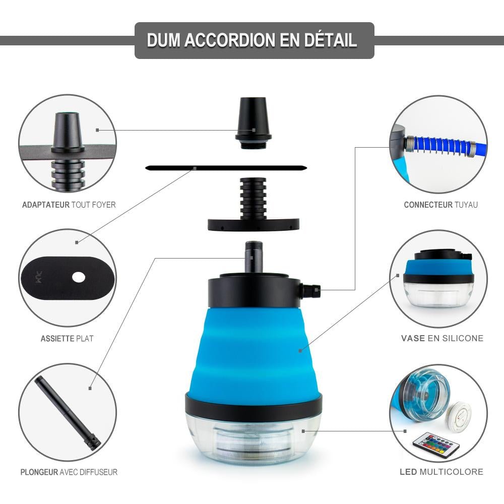 Chicha DUM Accordion